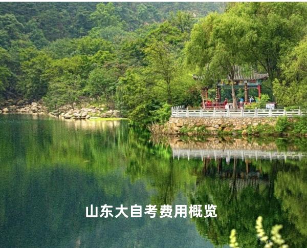山东大自考费用概览