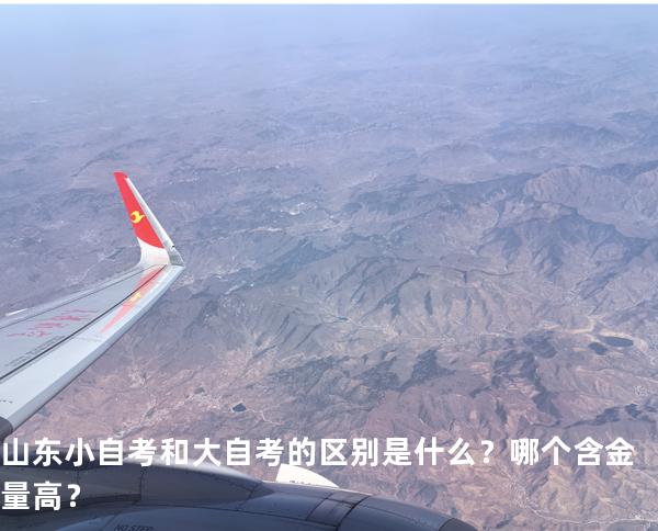 山东小自考和大自考的区别是什么？哪个含金量高？