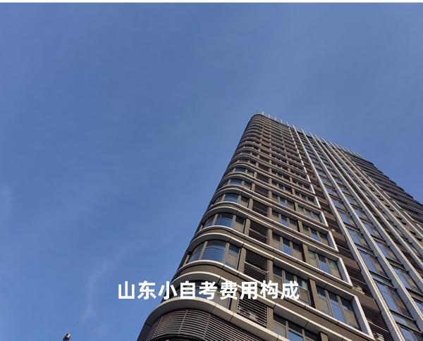 山东小自考费用构成