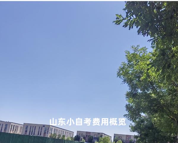 山东小自考费用概览