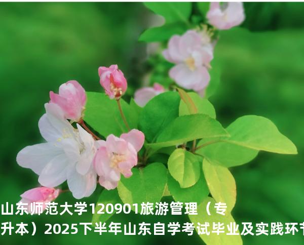 山东师范大学	120901	旅游管理（专升本） 2025下半年山东自学考试毕业及实践环节考核科目时间