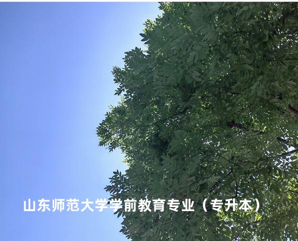 山东师范大学 学前教育专业（专升本）