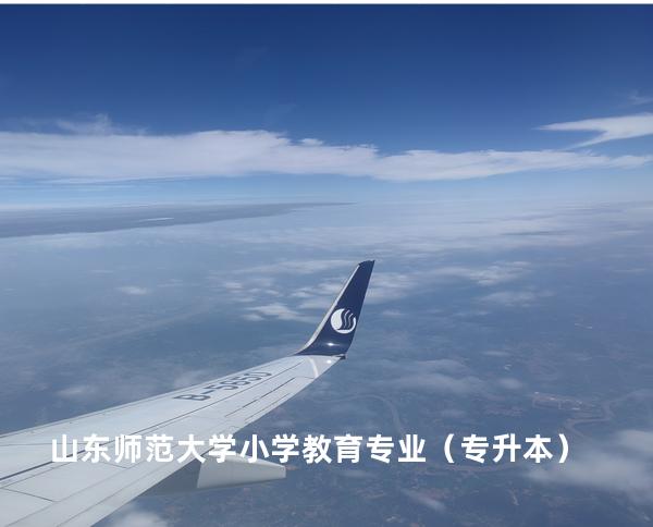 山东师范大学 小学教育专业（专升本）