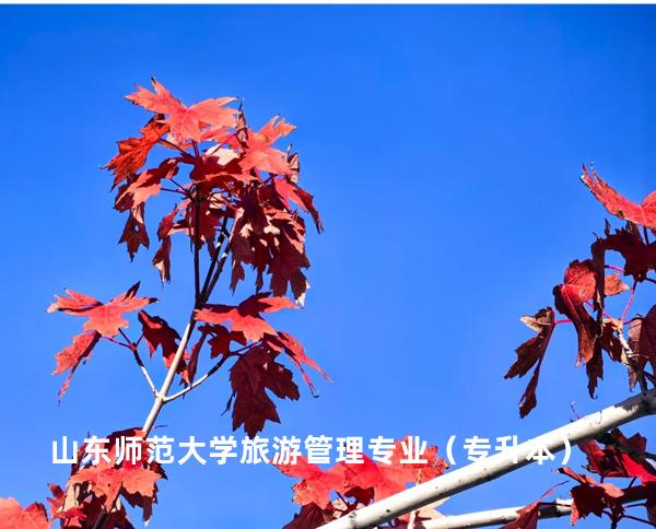 山东师范大学 旅游管理专业（专升本）