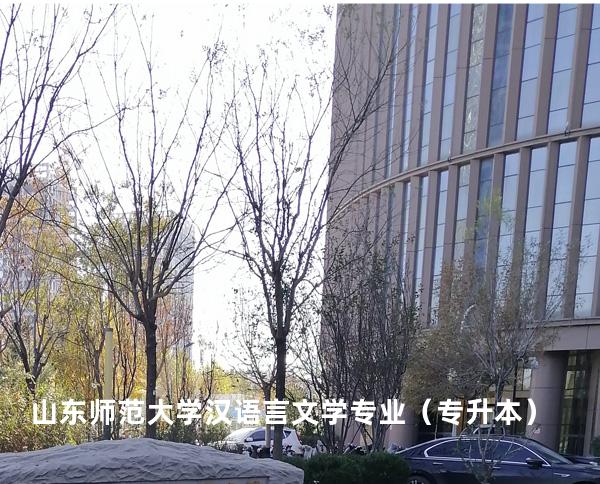山东师范大学 汉语言文学专业（专升本）