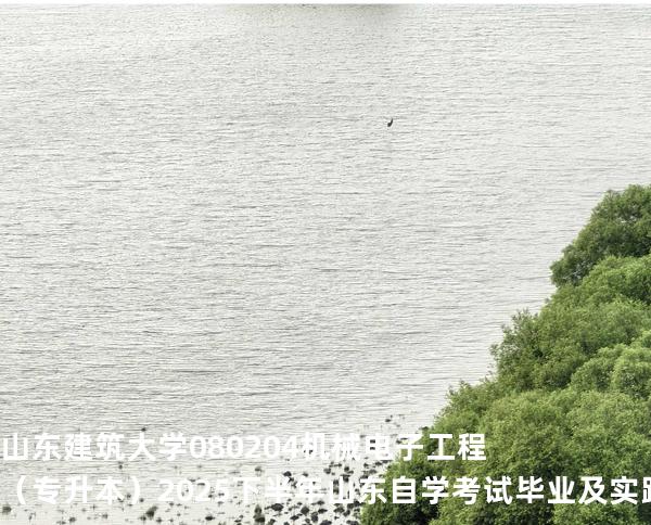 山东建筑大学	080204	机械电子工程（专升本）2025下半年山东自学考试毕业及实践环节考核科目时间