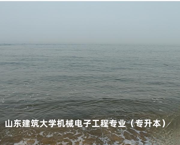 山东建筑大学 机械电子工程专业（专升本）