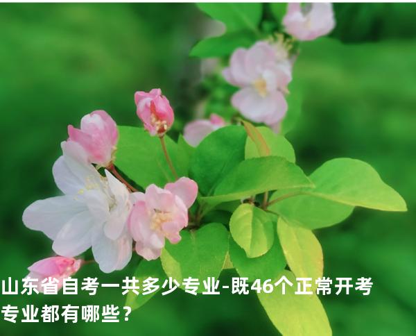 山东省自考一共多少专业-既46个正常开考专业都有哪些？