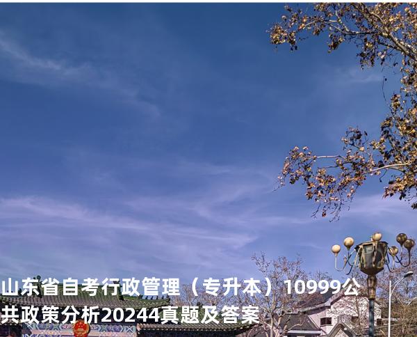 山东省自考行政管理（专升本）10999公共政策分析2024.4真题及答案