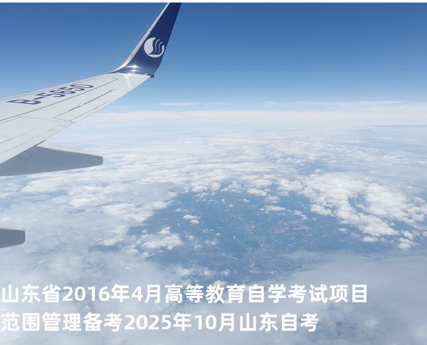 山东省2016年4月高等教育自学考试 项目范围管理备考2025年10月山东自考
