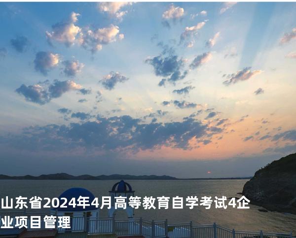 山东省2024年4月高等教育自学考试4 企业项目管理