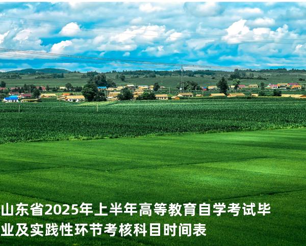 山东省2025年上半年高等教育自学考试毕业及实践性环节考核科目时间表
