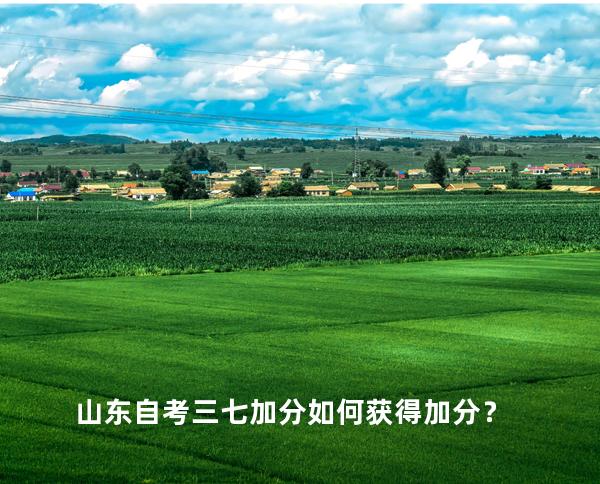山东自考三七加分如何获得加分？