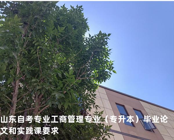 山东自考专业工商管理专业（专升本）毕业论文和实践课要求