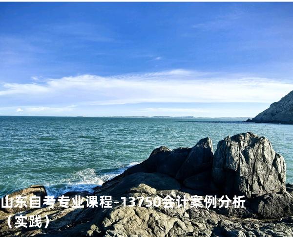 山东自考专业课程-13750会计案例分析（实践）