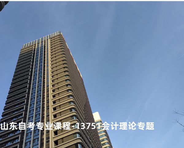 山东自考专业课程-13751会计理论专题