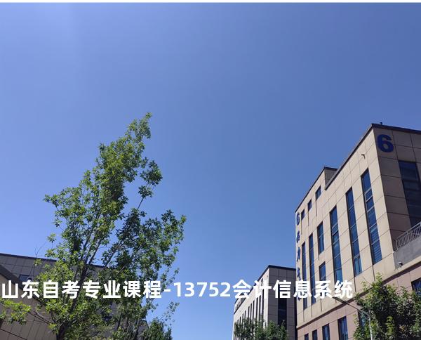 山东自考专业课程-13752会计信息系统