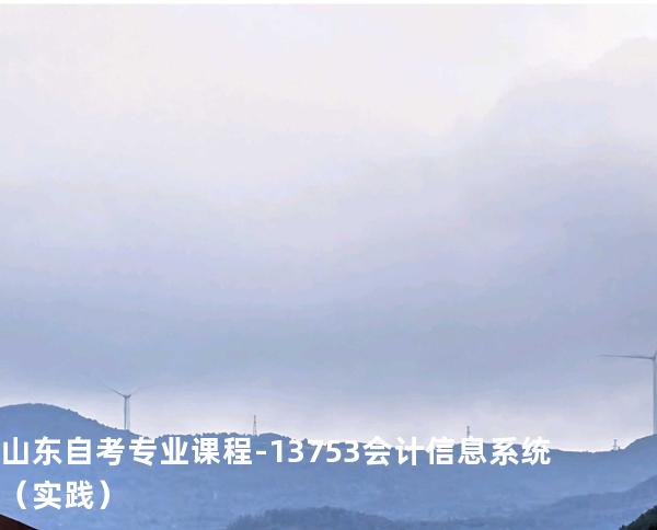 山东自考专业课程-13753会计信息系统（实践）