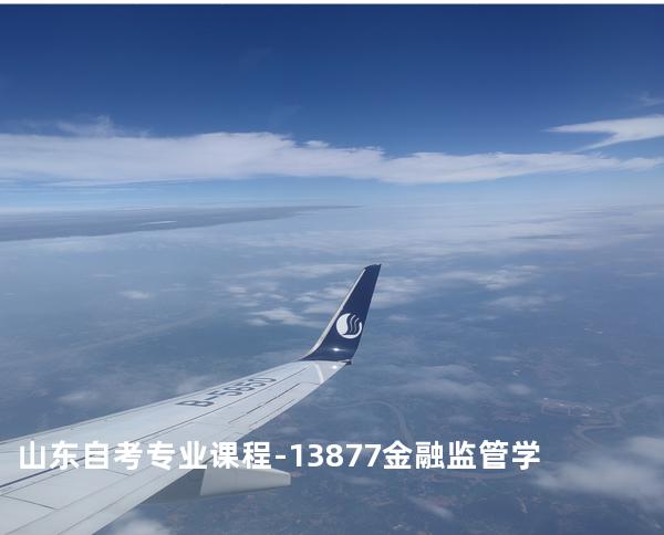 山东自考专业课程-13877金融监管学