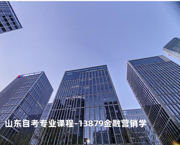 山东自考专业课程-13879金融营销学