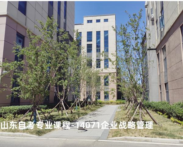 山东自考专业课程-14071企业战略管理