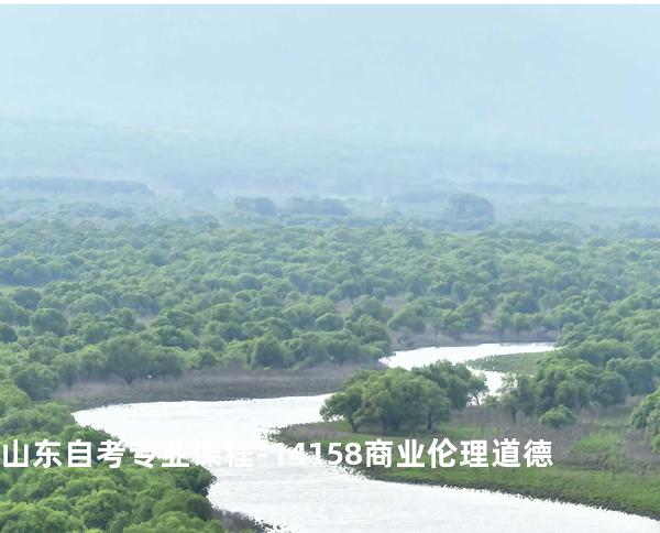 山东自考专业课程-14158商业伦理道德