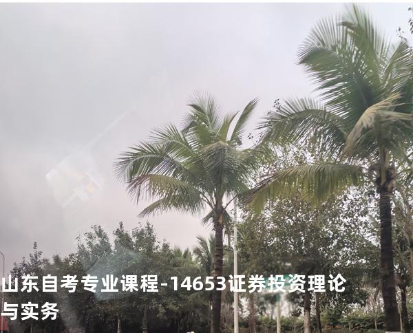 山东自考专业课程-14653证券投资理论与实务