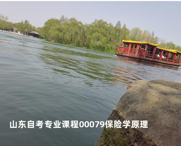 山东自考专业课程00079保险学原理