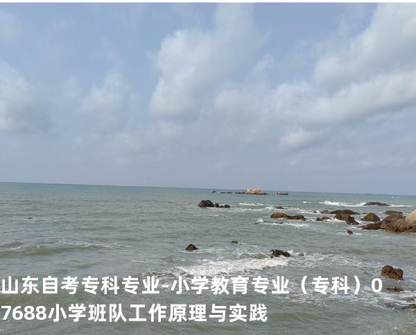 山东自考专科专业-小学教育专业（专科）07688小学班队工作原理与实践