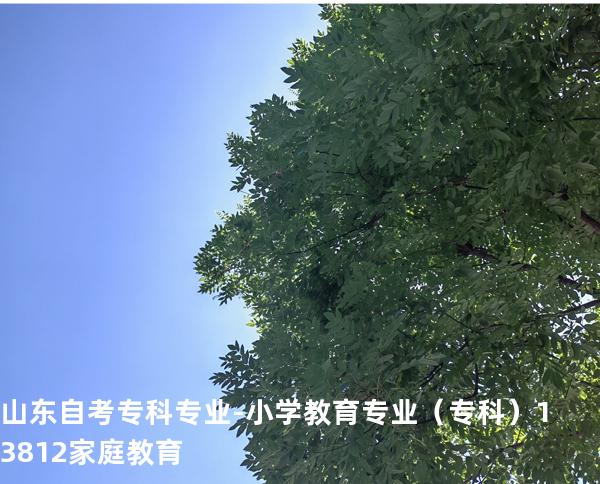 山东自考专科专业-小学教育专业（专科）13812家庭教育