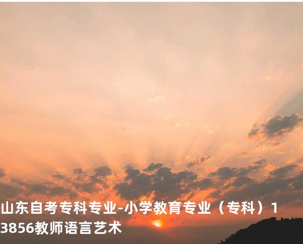 山东自考专科专业-小学教育专业（专科）13856教师语言艺术