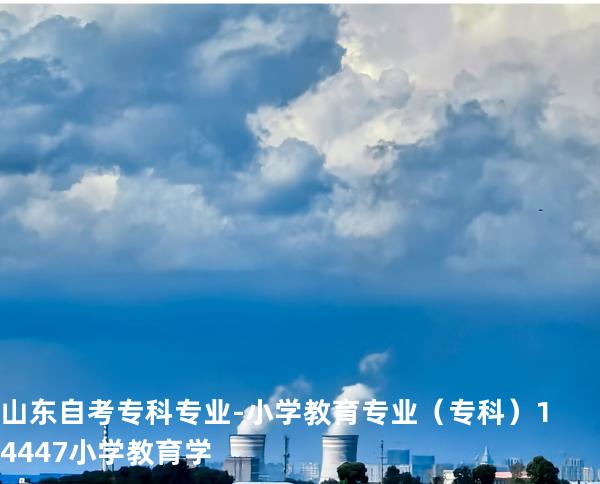 山东自考专科专业-小学教育专业（专科）14447小学教育学