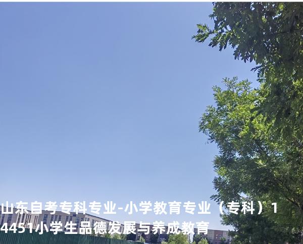 山东自考专科专业-小学教育专业（专科）14451小学生品德发展与养成教育