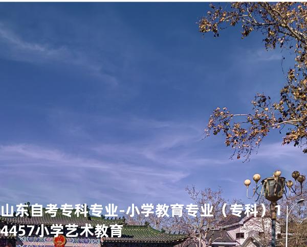 山东自考专科专业-小学教育专业（专科）14457小学艺术教育