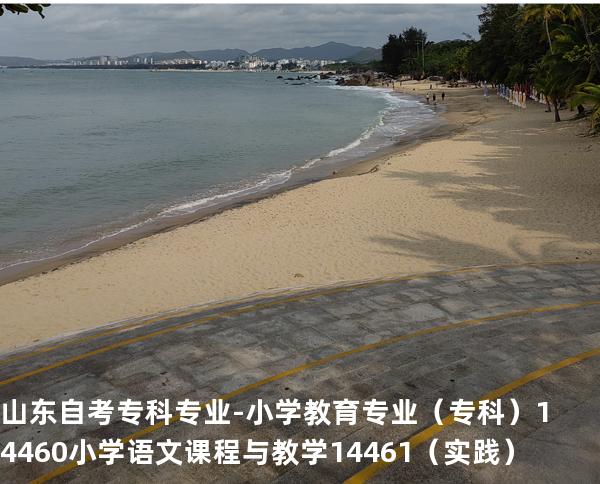 山东自考专科专业-小学教育专业（专科）14460小学语文课程与教学 14461 （实践）