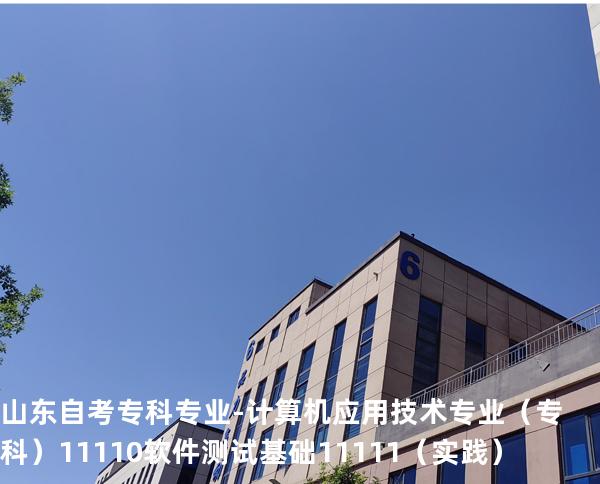 山东自考专科专业-计算机应用技术专业（专科）11110软件测试基础 11111（实践）