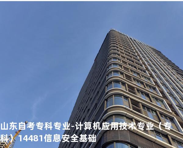 山东自考专科专业-计算机应用技术专业（专科）14481信息安全基础