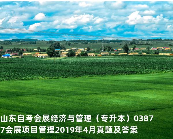 山东自考会展经济与管理（专升本）03877会展项目管理2019年4月真题及答案