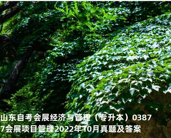 山东自考会展经济与管理（专升本）03877会展项目管理2022年10月真题及答案