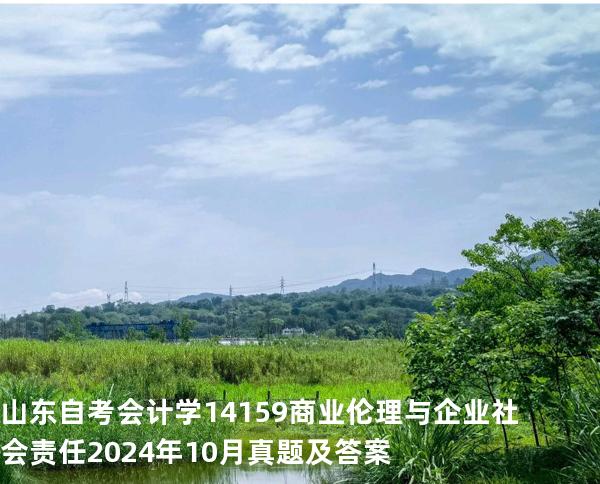 山东自考会计学14159商业伦理与企业社会责任 2024年10月真题及答案
