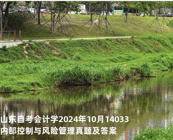 山东自考会计学 2024年10月14033内部控制与风险管理  真题及答案