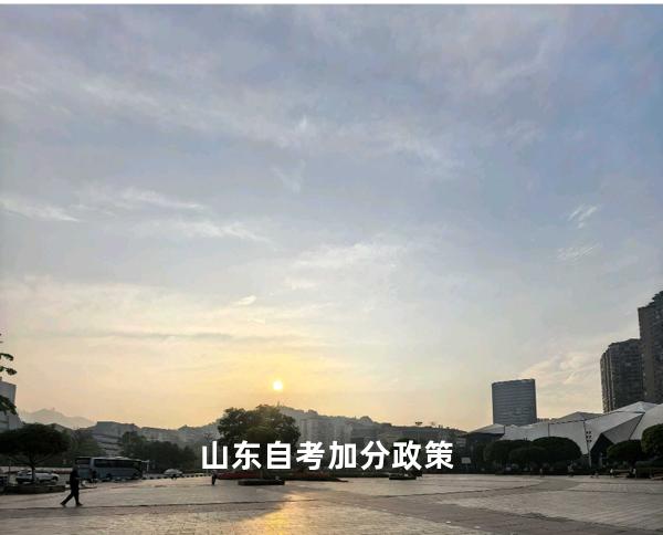 山东自考加分政策