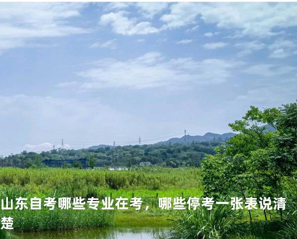 山东自考哪些专业在考，哪些停考一张表说清楚