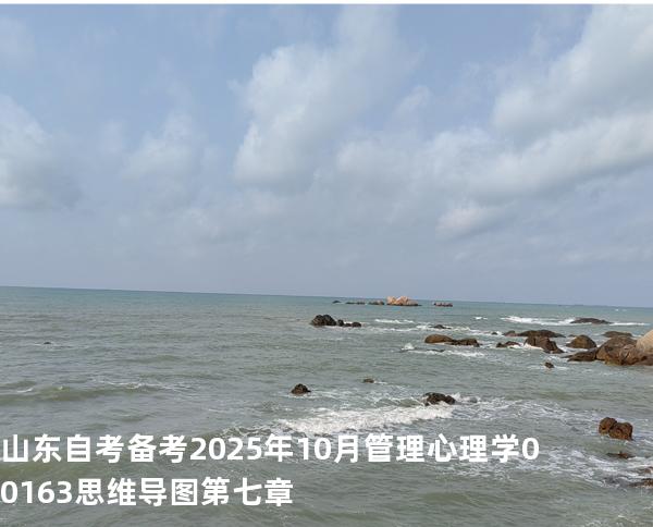山东自考备考2025年10月管理心理学 00163 思维导图 第七章