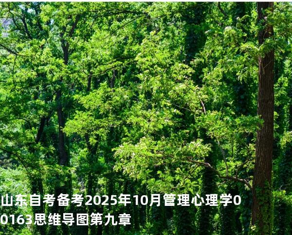 山东自考备考2025年10月管理心理学 00163 思维导图 第九章