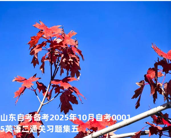 山东自考备考2025年10月自考 00015英语二 通关习题集五