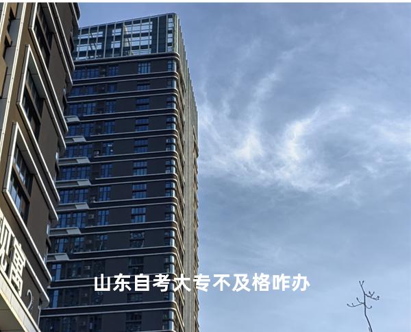 山东自考大专不及格咋办