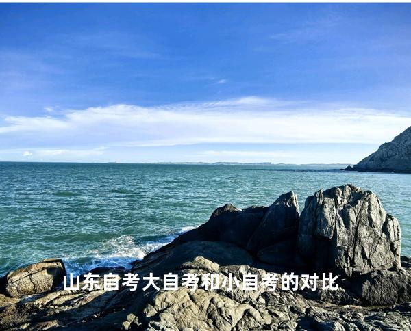 山东自考大自考和小自考的对比