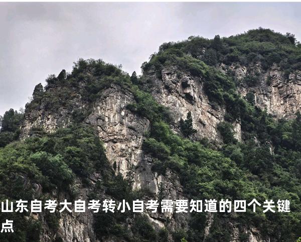 山东自考大自考转小自考需要知道的四个关键点