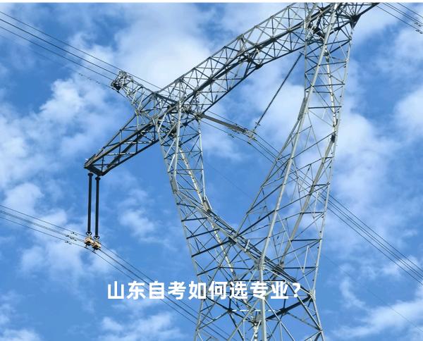 山东自考如何选专业？
